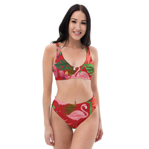 Pink Flamingo Red High Waist Women's Bikini Swimsuit Set